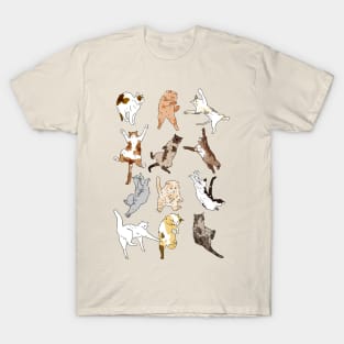 Cats Falling T-Shirt